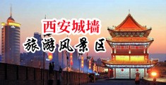大黑屌操洞中国陕西-西安城墙旅游风景区